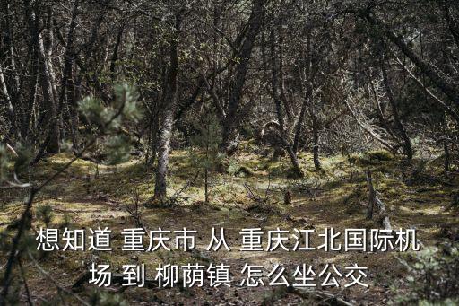 想知道 重慶市 從 重慶江北國際機場 到 柳蔭鎮(zhèn) 怎么坐公交