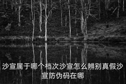 沙宣屬于哪個檔次沙宣怎么辨別真假沙宣防偽碼在哪