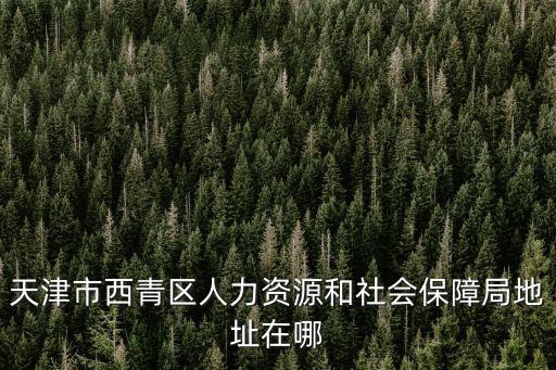 天津市西青區人力資源和社會保障局地址在哪