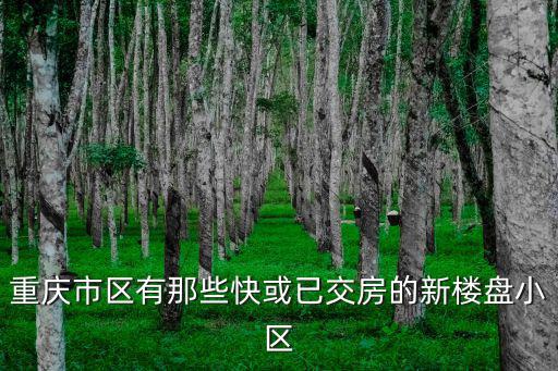 重慶市區(qū)商品房樓盤，重慶萬州高梁商品房