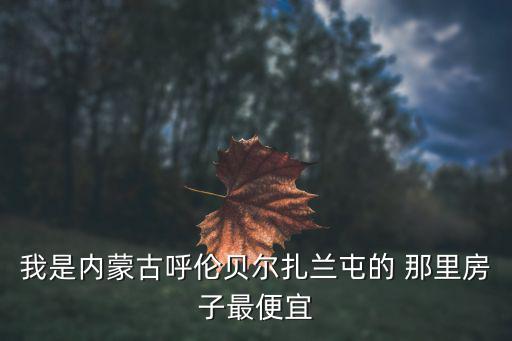 我是內蒙古呼倫貝爾扎蘭屯的 那里房子最便宜