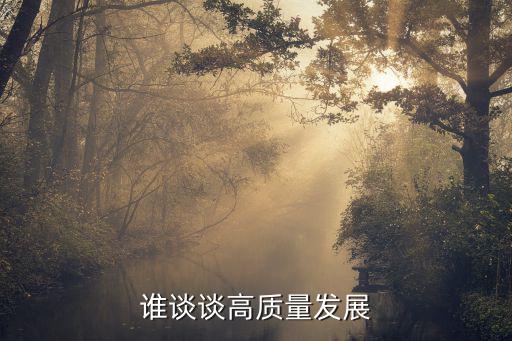 誰談談高質量發展