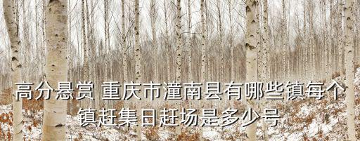 重慶市龍形鎮是哪個縣，重慶市潼南縣龍形鎮的鄉村公路是不是水泥路