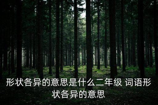 形狀各異的意思是什么二年級 詞語形狀各異的意思