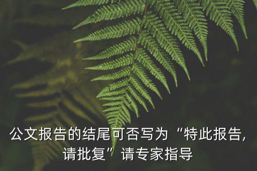 報(bào)告結(jié)尾,向上級(jí)單位匯報(bào)工作情況公文報(bào)告可用特此報(bào)告?