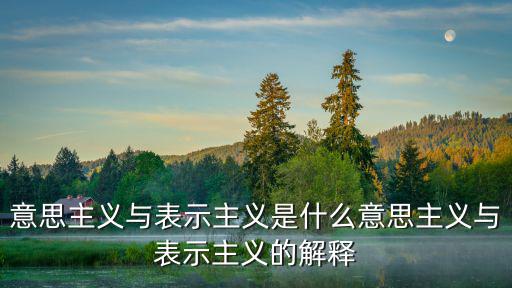主義的意思,意思主義與表示主義