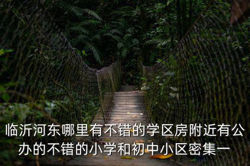 臨沂河東哪里有不錯的學區房附近有公辦的不錯的小學和初中小區密集一