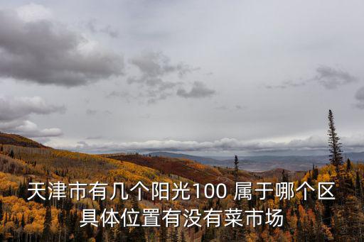 天津市有幾個陽光100 屬于哪個區具體位置有沒有菜市場