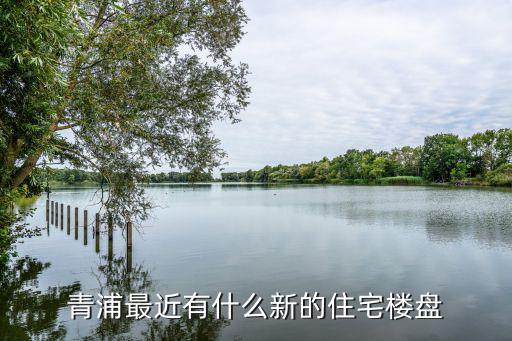 上海青浦新城新樓盤，上海青浦新城一站拆遷社區房價多少一平方