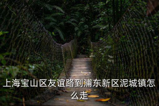 上海寶山區(qū)友誼路到浦東新區(qū)泥城鎮(zhèn)怎么走