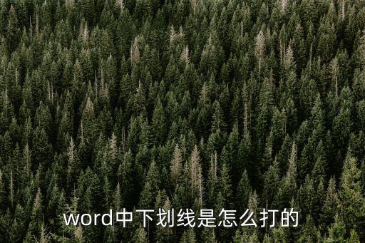 word中下劃線是怎么打的