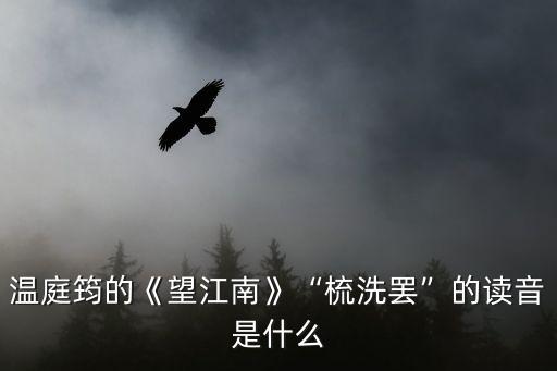 望江南梳洗罷,洗洗罷之后的獨倚暗示著什么?