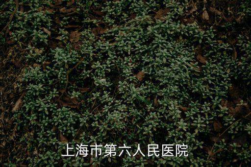上海市第六人民醫(yī)院兒科門診時間，上海市第六人民醫(yī)院