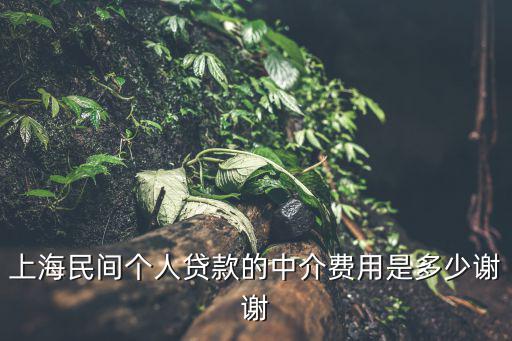 上海民間個(gè)人貸款的中介費(fèi)用是多少謝謝