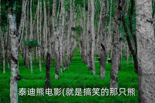 泰迪熊電影(就是搞笑的那只熊