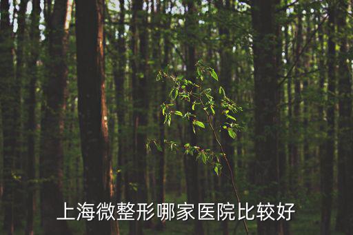 上海微整形哪家醫院比較好