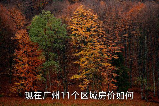 現在廣州11個區域房價如何