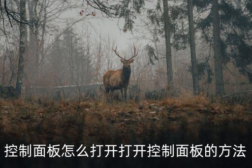 控制面板怎么打開打開控制面板的方法