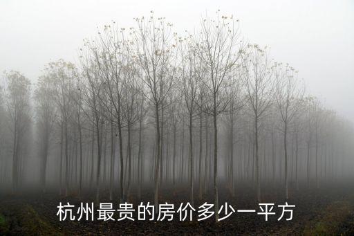 杭州最貴的房價多少一平方