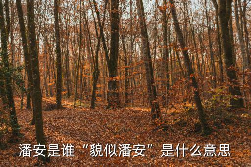 潘安是誰“貌似潘安”是什么意思