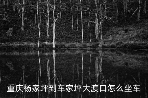 重慶楊家坪到車家坪大渡口怎么坐車