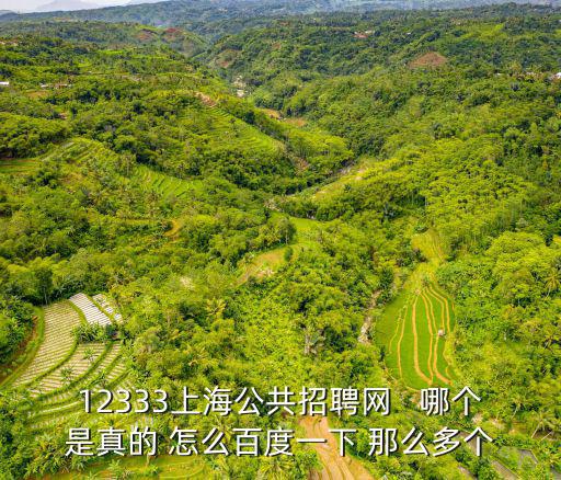 12333上海公共招聘網   哪個是真的 怎么百度一下 那么多個