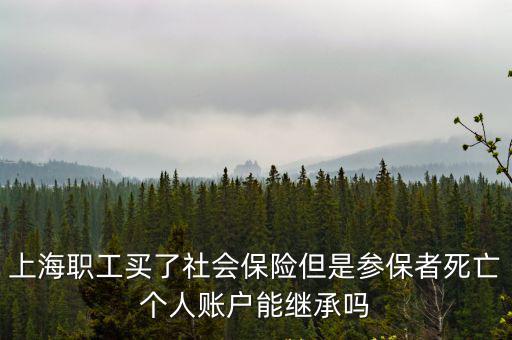 上海職工買了社會保險但是參保者死亡個人賬戶能繼承嗎