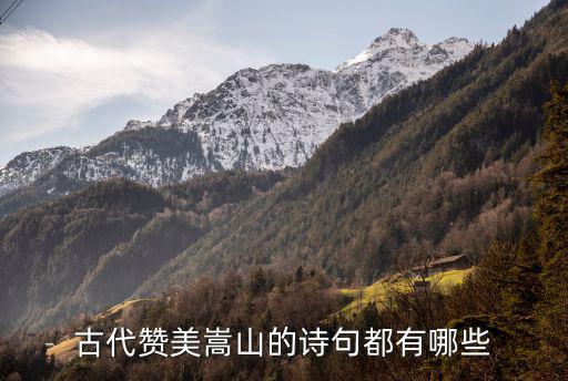 游嵩山,古詩(shī)三首:登山一長(zhǎng)望，恰逢九春初
