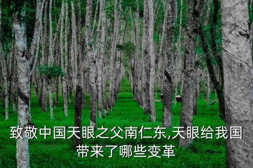 中國天眼之父,致敬中國天眼之父南仁東
