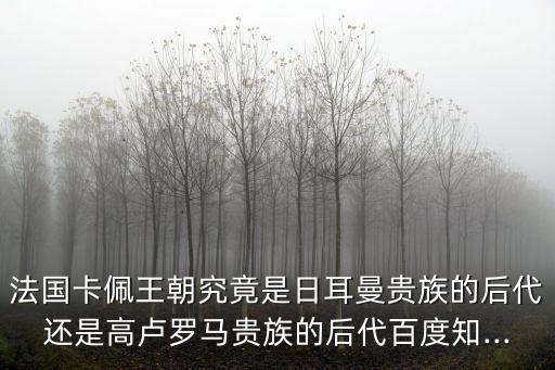 卡佩家族,法國卡佩王朝歷代國王為法蘭西民族國家奠定基礎