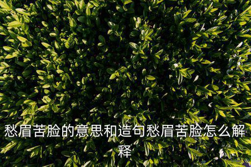 愁眉苦臉的意思,愁眉苦臉意思和造句