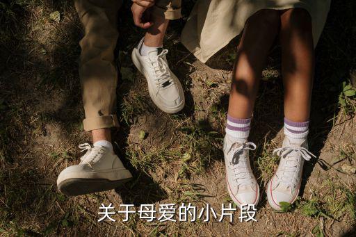 關于母愛的片段,母愛如何詮釋?