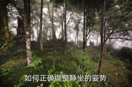 如何正確調(diào)整靜坐的姿勢
