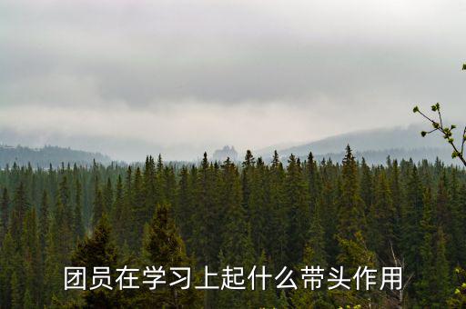 團員學習,學習不能一味苦學學習必須注重效率