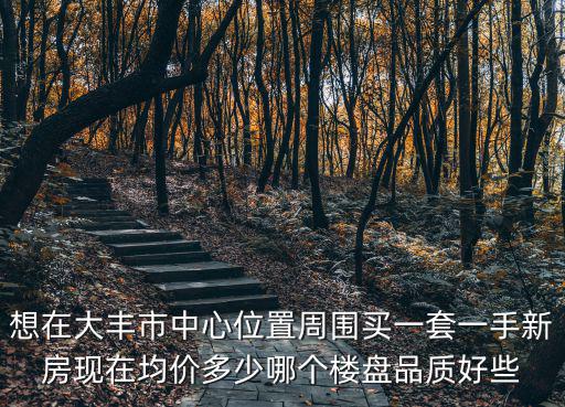 想在大豐市中心位置周圍買一套一手新房現在均價多少哪個樓盤品質好些