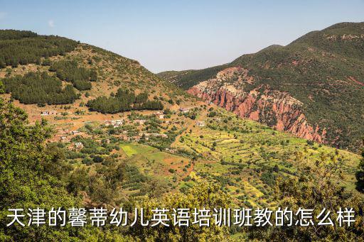 天津的馨蒂幼兒英語培訓班教的怎么樣