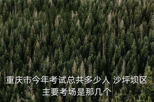 重慶市今年考試總共多少人 沙坪壩區主要考場是那幾個