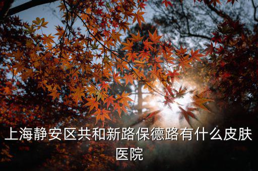 上海靜安區共和新路保德路有什么皮膚醫院