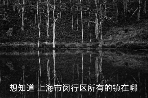 想知道 上海市閔行區所有的鎮在哪