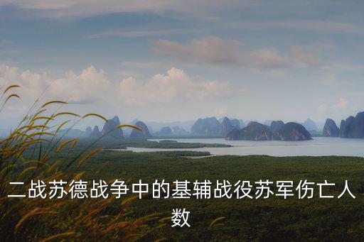 二戰蘇德戰爭中的基輔戰役蘇軍傷亡人數