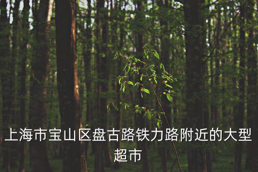 上海市寶山區(qū)盤(pán)古路鐵力路附近的大型超市