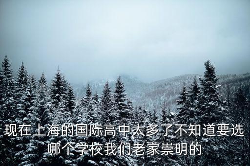 現在上海的國際高中太多了不知道要選哪個學校我們老家崇明的
