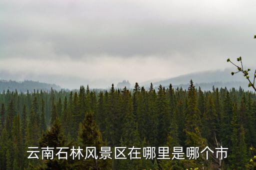 云南石林風景區(qū)在哪里是哪個市
