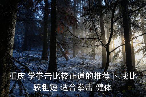 重慶 學拳擊比較正道的推薦下 我比較粗短 適合拳擊 健體