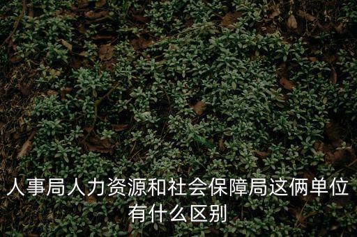 人事局人力資源和社會保障局這倆單位有什么區(qū)別