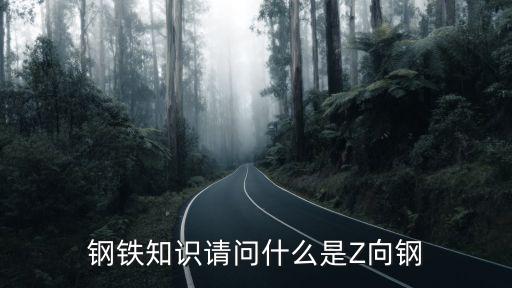 鋼鐵知識請問什么是Z向鋼