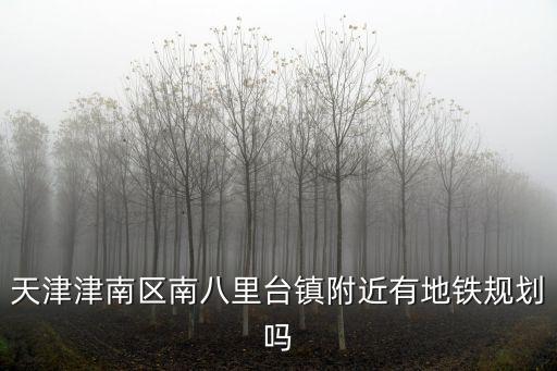 天津津南區(qū)南八里臺鎮(zhèn)附近有地鐵規(guī)劃嗎