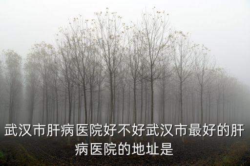 天津市中國人民解放軍983醫(yī)院官網(wǎng)，解放軍261醫(yī)院地址在那怎么走