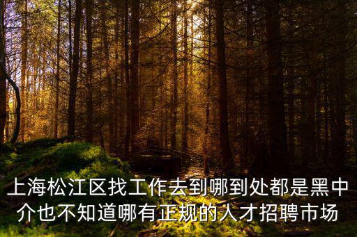 上海松江區(qū)找工作去到哪到處都是黑中介也不知道哪有正規(guī)的人才招聘市場(chǎng)