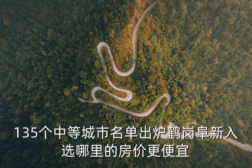 135個中等城市名單出爐鶴崗阜新入選哪里的房價更便宜